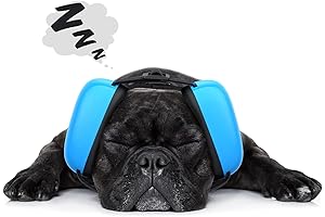 Dog Ear Protection: Reducing Noise Sensitivity and Providing Comfortable Hearing for Your Canine Companion