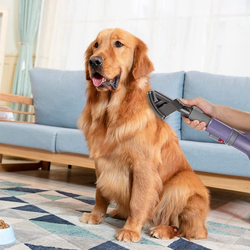 Attrezzo per toelettatura con Adattatore convertitore a sgancio rapido per Dyson V15 V11V10 V8 V7 V6 Aspirapolvere Cane Spazzola per Animali Domestici