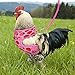 Frienda 2 Pcs Adjustable Chicken Harness and Leash Set Spring Summer Comfortable Elastic Hen Vest Breathable Harness for Hens Duck Goose Pet Training Walking Supplies(Pineapple, Strawberry,Small)