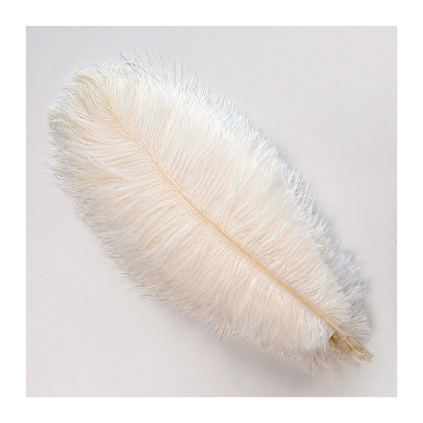 Piuma di Struzzo 10-200 pz 50-55 CM Soffici Piume di Struzzo Pennacchio Naturale for La Festa Nuziale Accessori Artigianali Abbigliamento Cucito Plumas Decorativi(White,50pcs)