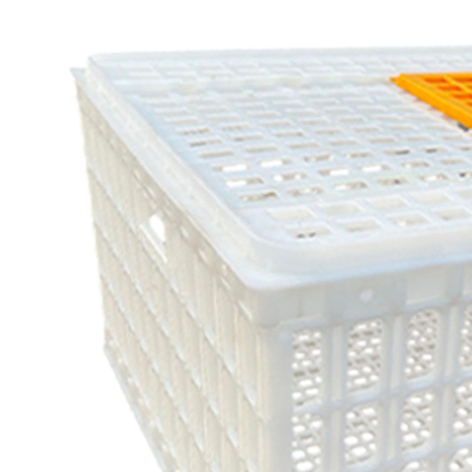 Jaula Transportadora de Aves de Corral, Blanco Altura 33cm