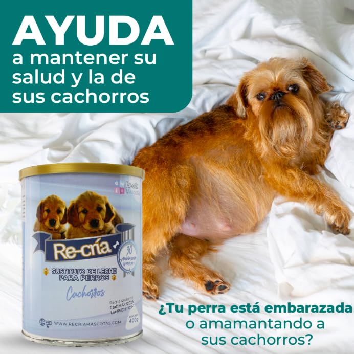 Consejos para Comprar Sustituto de leche para cachorros del mes. 10 Imagen adicional