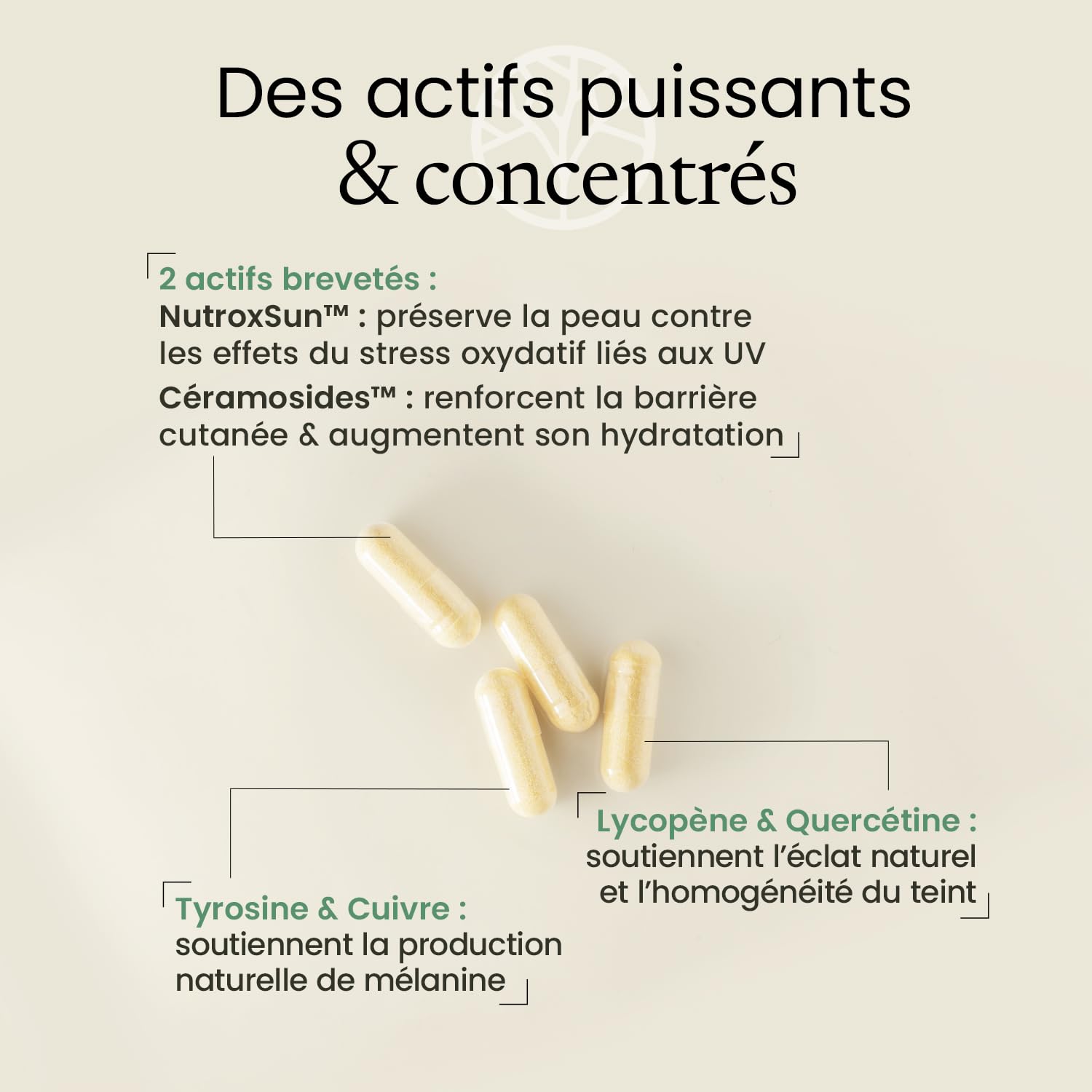COMPLEXE SOLAIRE 4 en 1 | Nutroxun® + Céramosides® + Lycopène + Zinc Bisglycinate | Teint Hâlé et Naturel | Formule Autobronzante sans Bêta-carotène | 90 Gélules Vegan | Fabriqué en France | Terravita