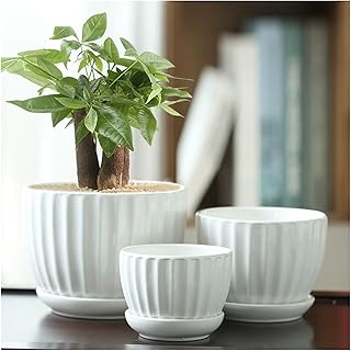 KFKAA 3 Packs White Ceramic Plant Pot 3/4/5 Inch Indoor/Outdoor Flower Planter with Drainage Holes, Trays for Succulents, ...