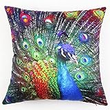 Lydealife （TM）18 X 18 Inch Decorative Throw Pillow Cover Cushion Case, Novel design Colorful Peacock Series LD092