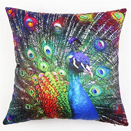AWEHIRU Lydealife （TM） 18 X 18 Inch Decorative Throw Pillow Cover Cushion Case, Novel Design Colorful Peacock Series LD092