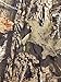Carhartt mens Midweight Camo Sleeve Logo (Regular and Big & Tall Sizes) Hooded Sweatshirt, Mossy Oak Break-up Country, X-Large US