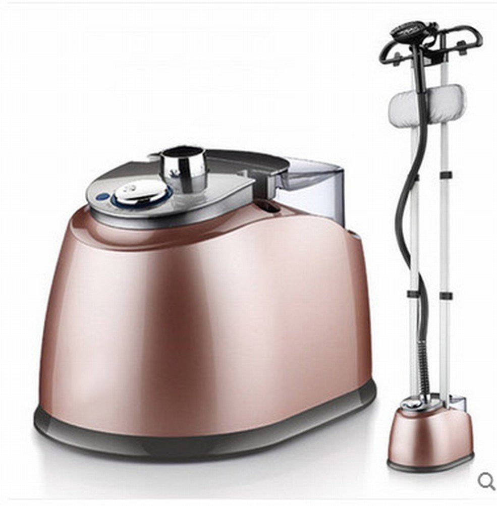 Máquina de Planchado Tienda de Ropa de Planchado Ropa de Hierro de Vapor de la Celebración de la Familia Doble Barra Colgando Máquina Caliente,Oro