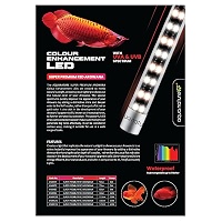 ピ*ト様 AROWANA TANNING LIGHT テンニング 617MJMAfpuL._QL92_SH45_SS200_.jpg