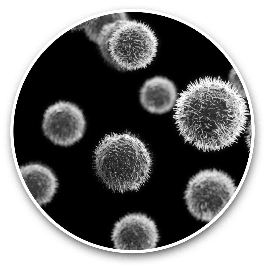 Destination Vinyl Ltd Bw Germ Virus Bacteria Science 38570 Awesome Vinyl Stickers (Set Of 2) 7.5Cm (Bw) - Germ Virus Bacteria Science Fun Decals For Laptops,Tablets,Luggage,Scrap Booking,Fridges #38570