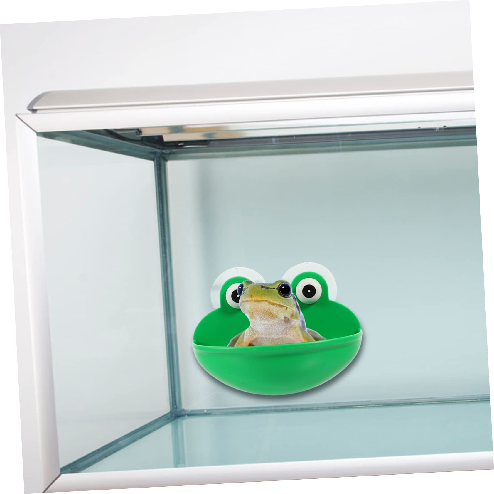 DOITOOL 6piezas Plataforma Decorativa para Reptiles Descanso y Alimentación Terrario Soporte Multifuncional para Reptiles y Mascotas Accesorios Seguros y Duraderos para Terrarios