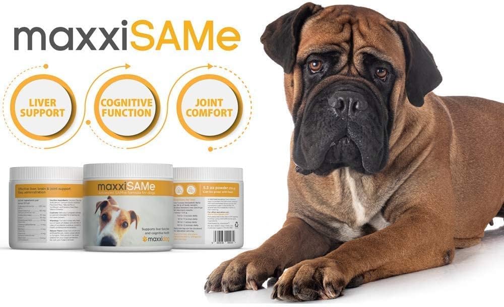 maxxipaws SAM-e Digest Bundle – maxxiSAMe Advanced SAM-e Support for Dogs & maxxidigest+ Canine Digestive and Immune Supplement