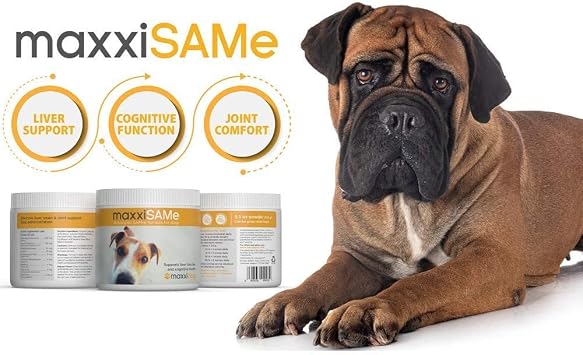 maxxipaws SAM-e Digest Bundle maxxiSAMe Advanced SAM-e Support for Dogs & maxxidigest+ Canine Digestive and Immune Supplement