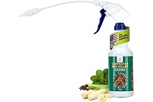 All-Natural Foaming Spray - Carpenter Insect Bee Killer