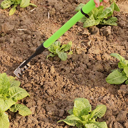 Evcitn Adjustable Hand Claw Rake,5 Tine Cultivator Tool with 40.5IN Long Handle,Aluminium and Rubber Garden Tool for Weeding Weeds,Loosening Soil,Digging Roots - Image 4