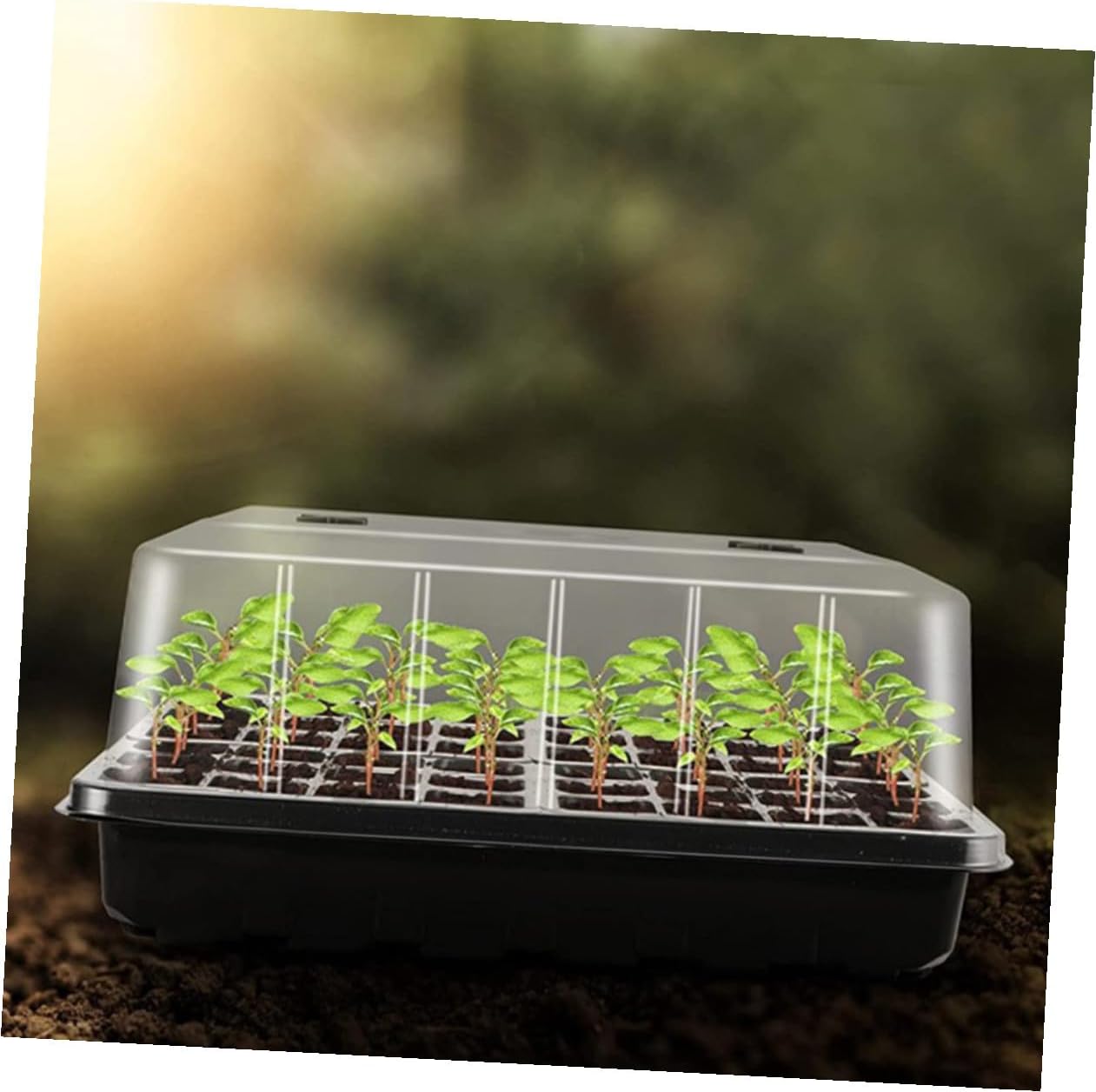 Yardwe Plastic Seedling Tray with Humidity Dome, 12-Cell Propagation Planter Tray Set for Seed Germination and Succulent Planting, Greenhouse Accessory with High-Cover Design for Indoor