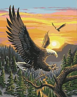 MTinHD 16x20 DIY Paint by Numbers for Adults Eagle DIY Painting Kit with Wooden Framed on Canvas