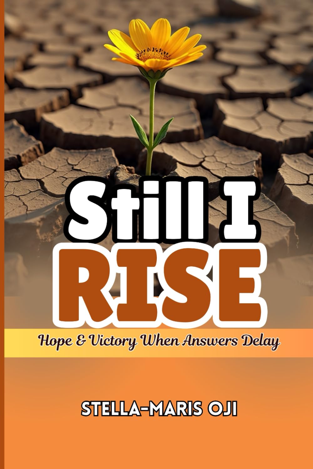 STILL I RISE: Hope & Victory When Answers Delay