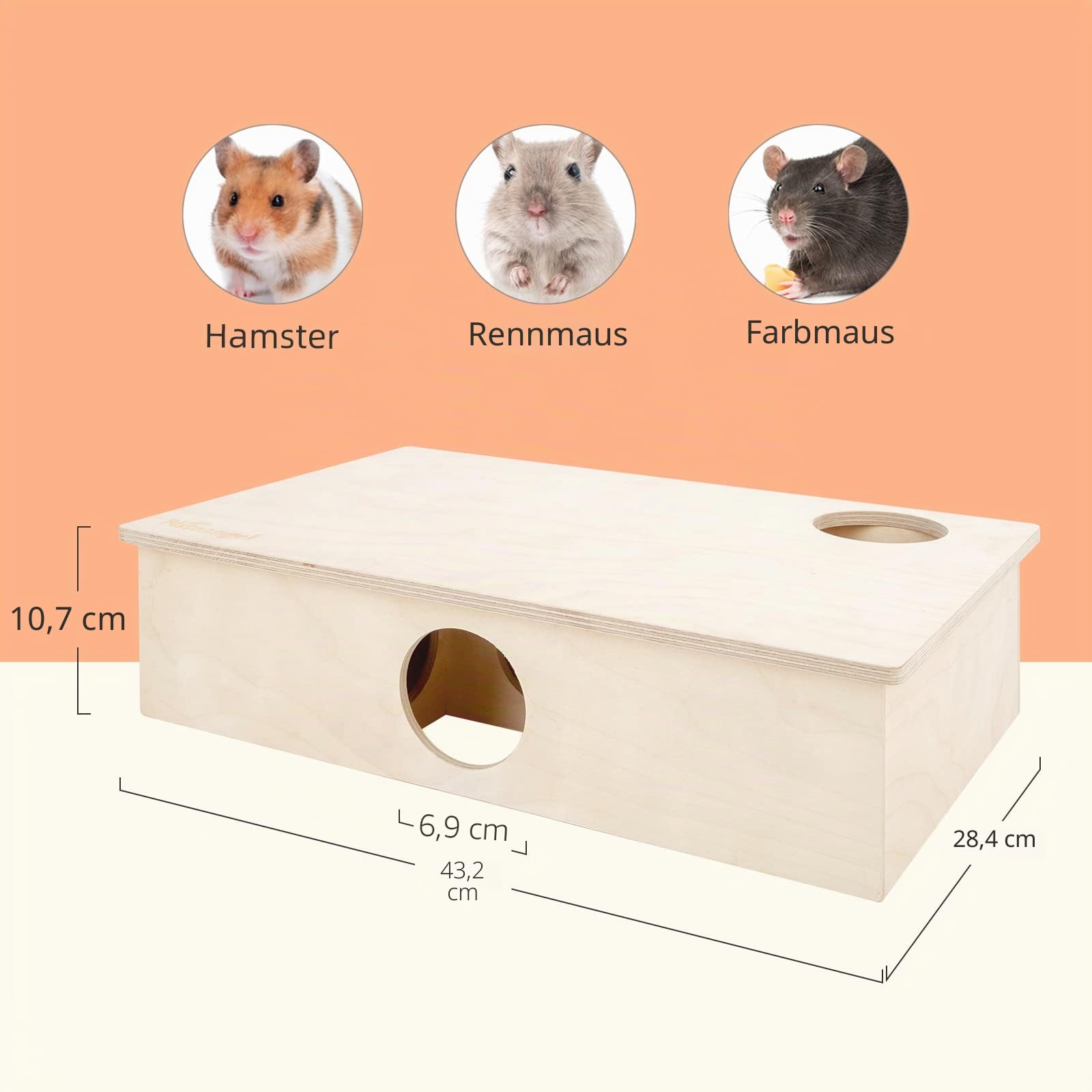 Mehrkammer Niteangel Hamsterhaus Labyrinth - Mehrzimmer-Verstecke und Tunnel-Erkundungsspielzeug für Hamster, Gerbils, Mäuse und Lemminge (6-Zimmer Groß)