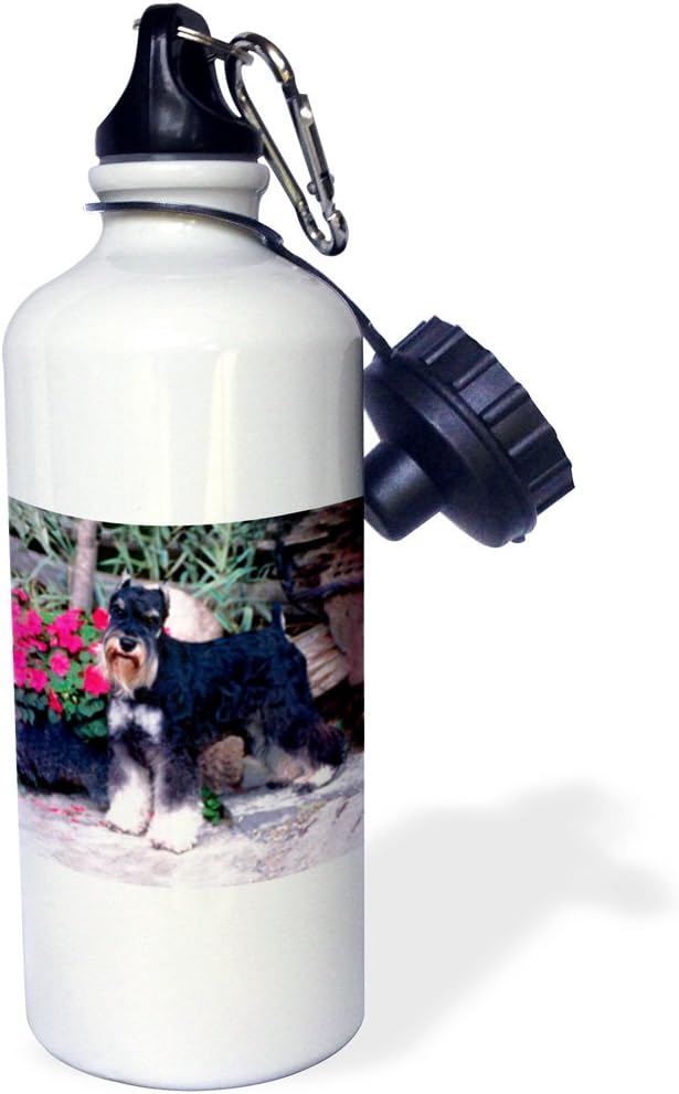 3dRose "Schnauzer" Sports Water Bottle, 21 oz, White
