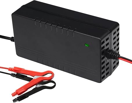 LiFePO4 24 Volt 10A Battery Charger for Lithium Iron Phosphate/Lifepo4 Rechargeable Battery, 29.2V 10A Smart Fully Automatic Trickle Maintainer Charger with Deep Cycle Safety Protection
