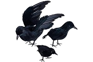 3-Pack Halloween Black Feathered Crow Realistic Handmade Crow Prop