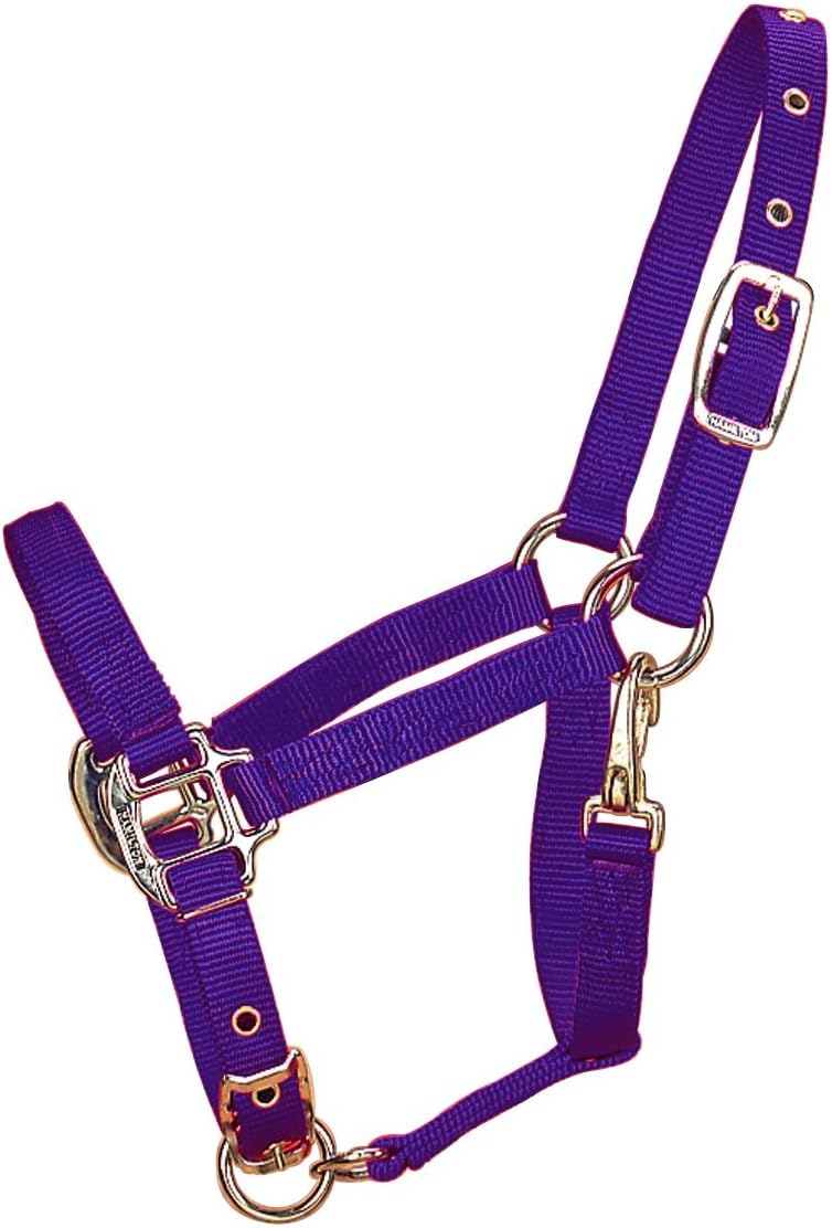 Hamilton Halter Company 349860 Adjustable Chin Horse Halter with Snap Purple, Pony