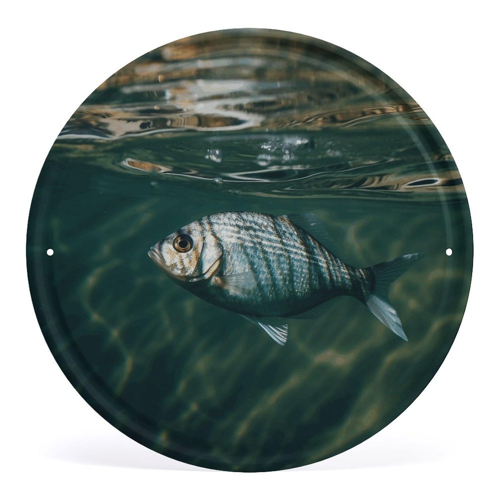 Fodpand Style Fish In Water Round Wall Art Hanging Decorations, Wall Decor Modern Minimalist Artwork, Tin Sign Hanging Picture For Living Room, Bedroom, Office, Hallway, 11.8X11.8 Inch