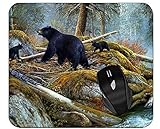 Hervorragend für alle Maustypen.