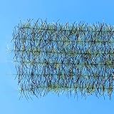 Ep Tarantula Hairy Legs Brush 0.5' Wide Black/olive