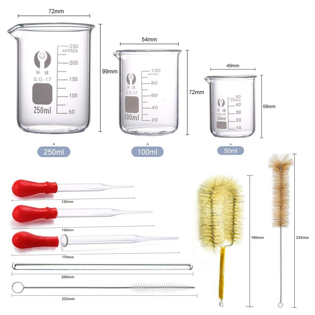 Probeta de Laboratorio para Ciencias, Juego de pipetas cilíndricas y Vasos de Vidrio con Varillas agitadoras y cepillos, Paquete de 18 tamaños múltiples(2 pcs 250ML)