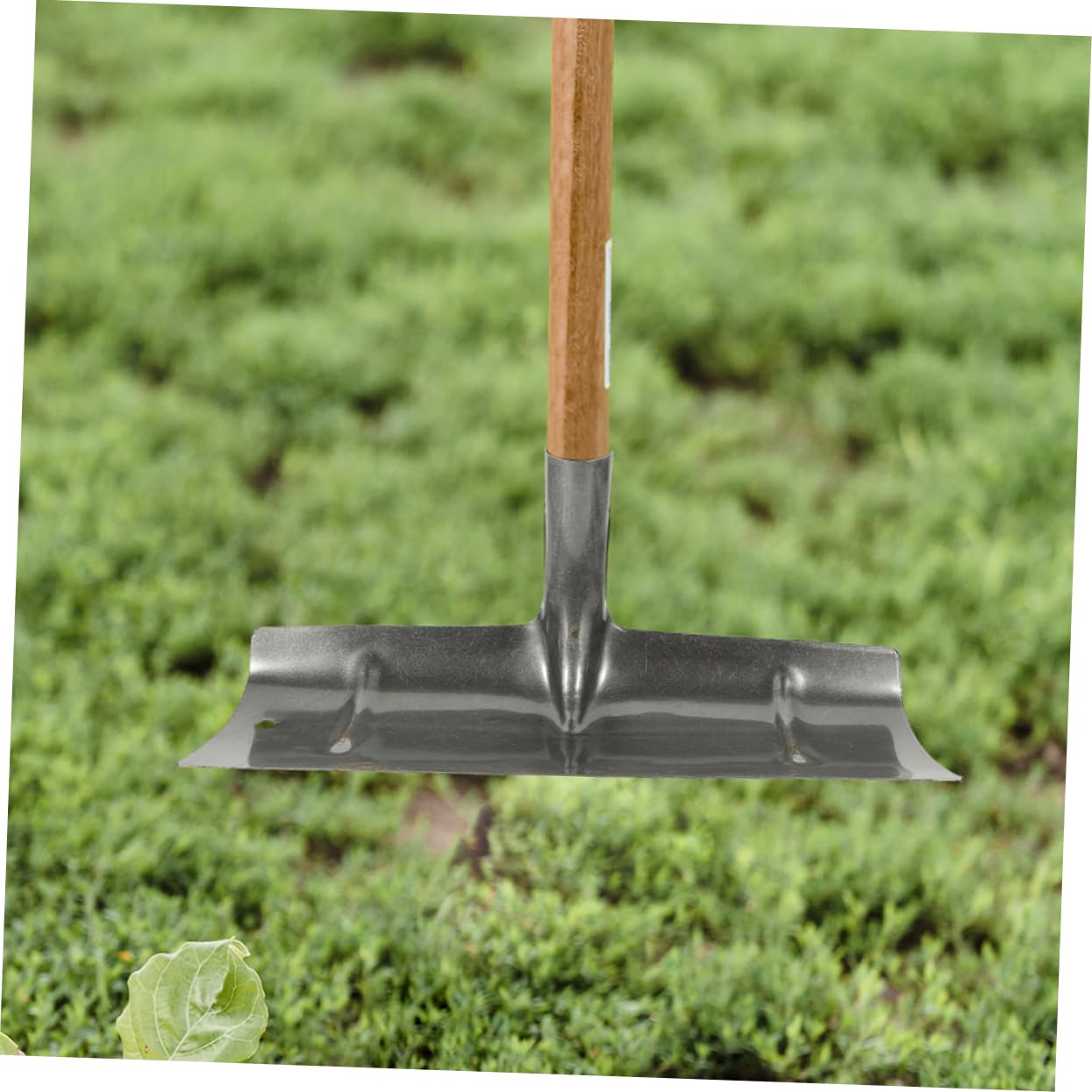 Kisangel 2 Pala de Limpieza de Granja Pala Metálica para Excrementos de Aves de Corral Herramienta Multifuncional 2 Unidades Diseño Resistente para Uso en Granjas y Hogares