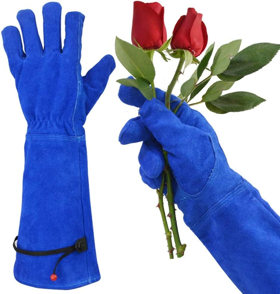 GLOSAV Professional Thorn Proof Gardening Gloves for Women and Men Rose Pruning & Cactus Trimming, Long Sleeve Heavy Duty Ladies Garden Gloves, Cowhide Leather (Small, Blue)