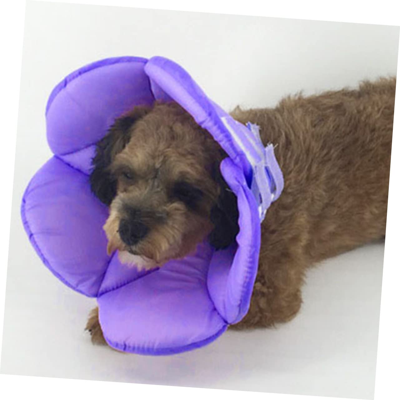 INOOMP 3 Pz Collare Elisabettiano per Cani Collare di Recupero del Cerchio del Collo del Cane Collo Dell'animale Domestico Petgentle Linimenti Unguento Viola,Porpora Anti-afferramento
