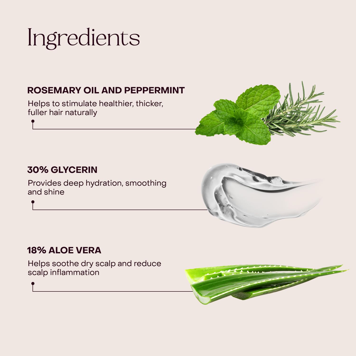 Everist The Shampoo Concentrate – Waterless Bond-Repair Cream Shampoo for All Hair Types – Glycerin & Aloe Hydration with Rosemary & Peppermint – Plant-Based, Vegan, Color-Safe - 3.4 fl oz TIN - Image 4