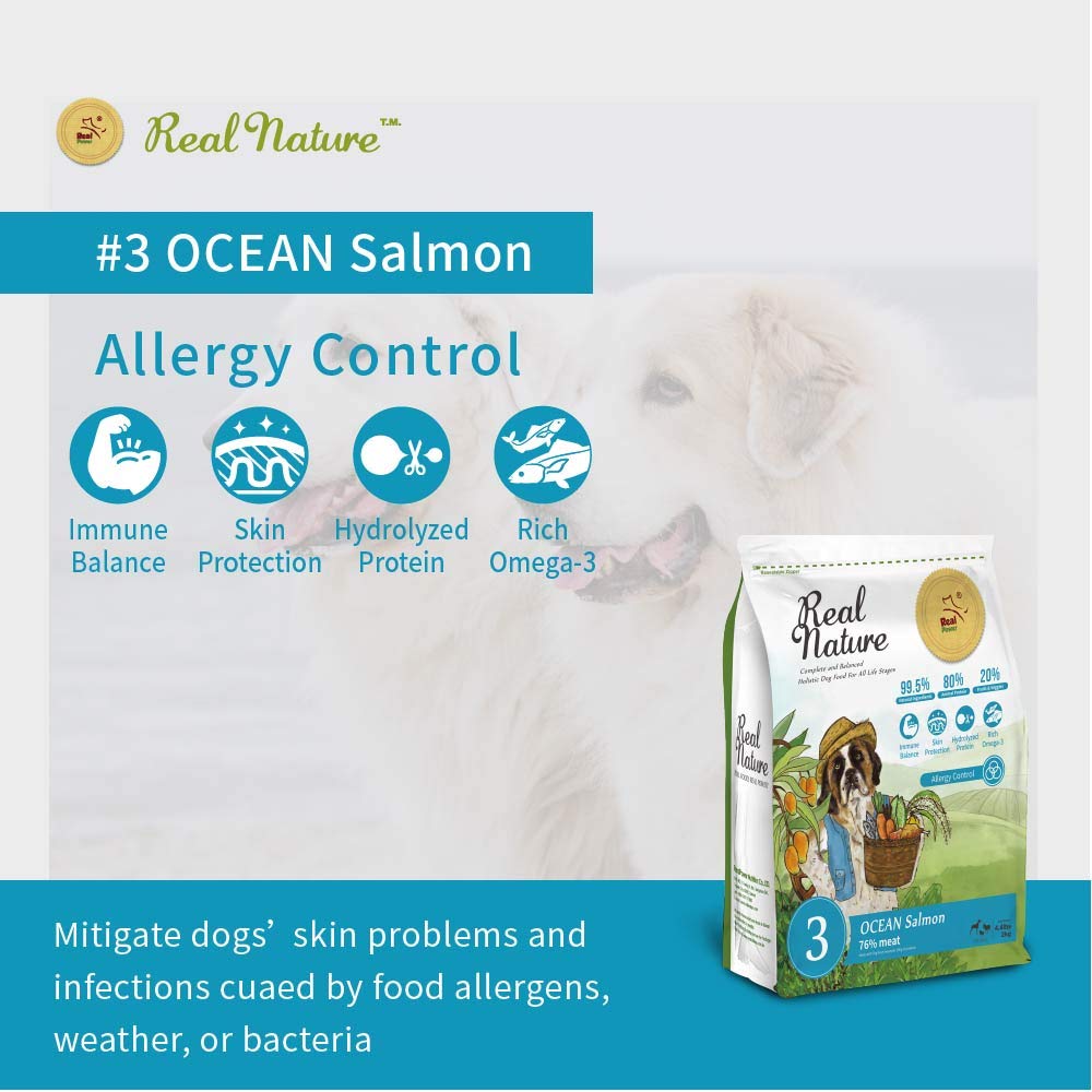 【セール】Real Nature RecipeNo.3オーシャンサーモン10kg Amazon.co.jp: Real Nature Recipe Dog Food リアルネイチャー