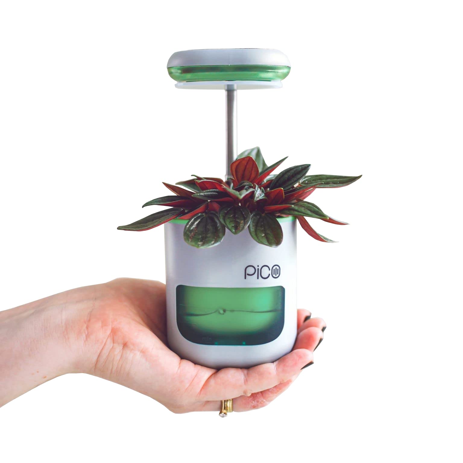 Buy Pico er Indoor Garden with Grow Light. This Growing Kit is the