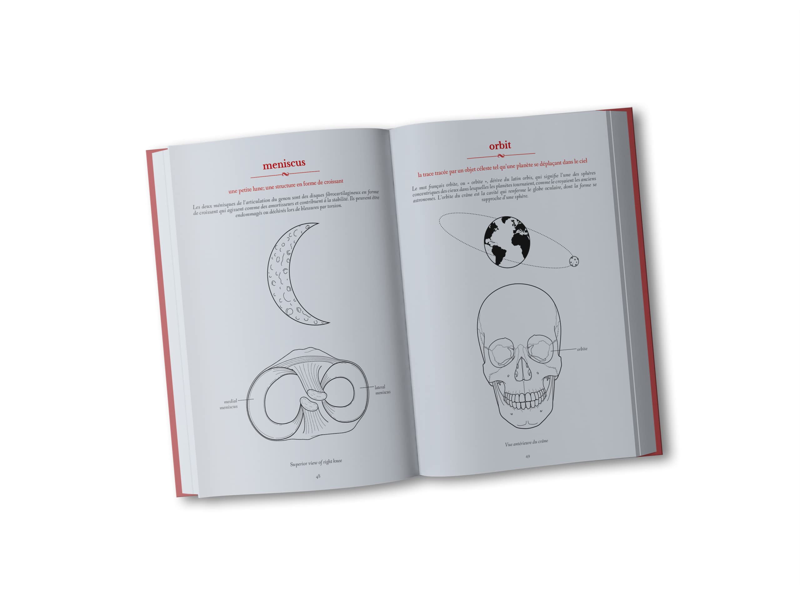 Le Langage secret de l'anatomie: Comprendre les termes anatomiques par le dessin et l'étymologie