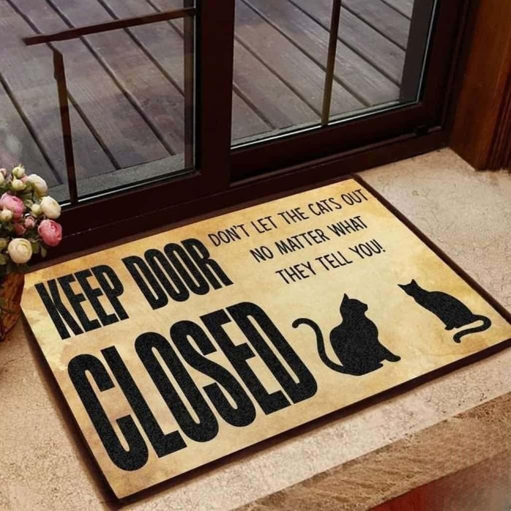 Paillasson chat extérieur pour entrée de maison tapis en coco humoristique 40x60cm