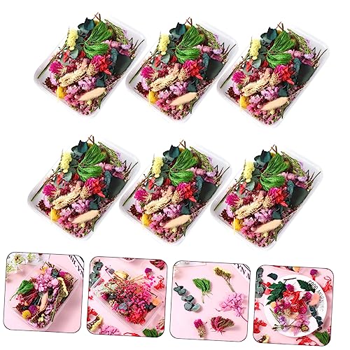 6 cajas de materiales reales de flores secas para manualidades miniatura 6