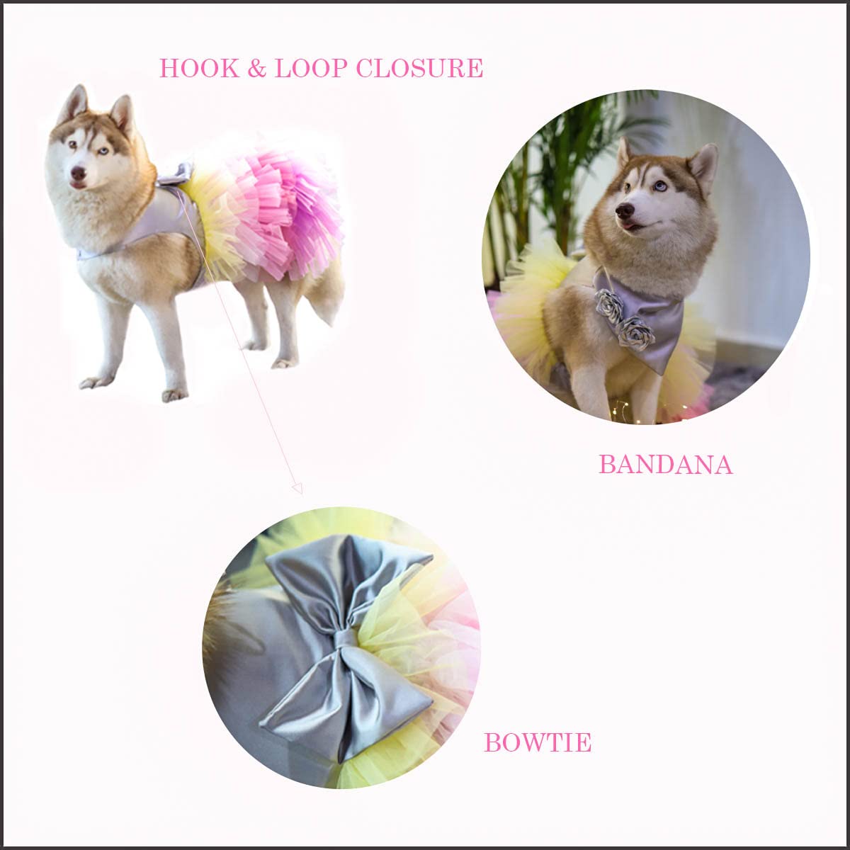 Puptail Dog Dress with Lovely Bow Puppy Dress Pet Apparel Dog Clothes for Small and Large Dogs and Cats XXL Multi Colored