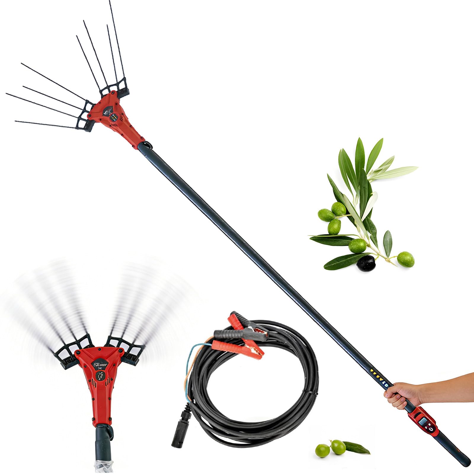 Recolector de Frutas con Pértiga Telescópica de 175-270cm, Cosechadora de Aceitunas Eléctrica de 600W, Rastrillo para Granos de Café, Sacudidor de árboles para Recolección a Larga Distancia