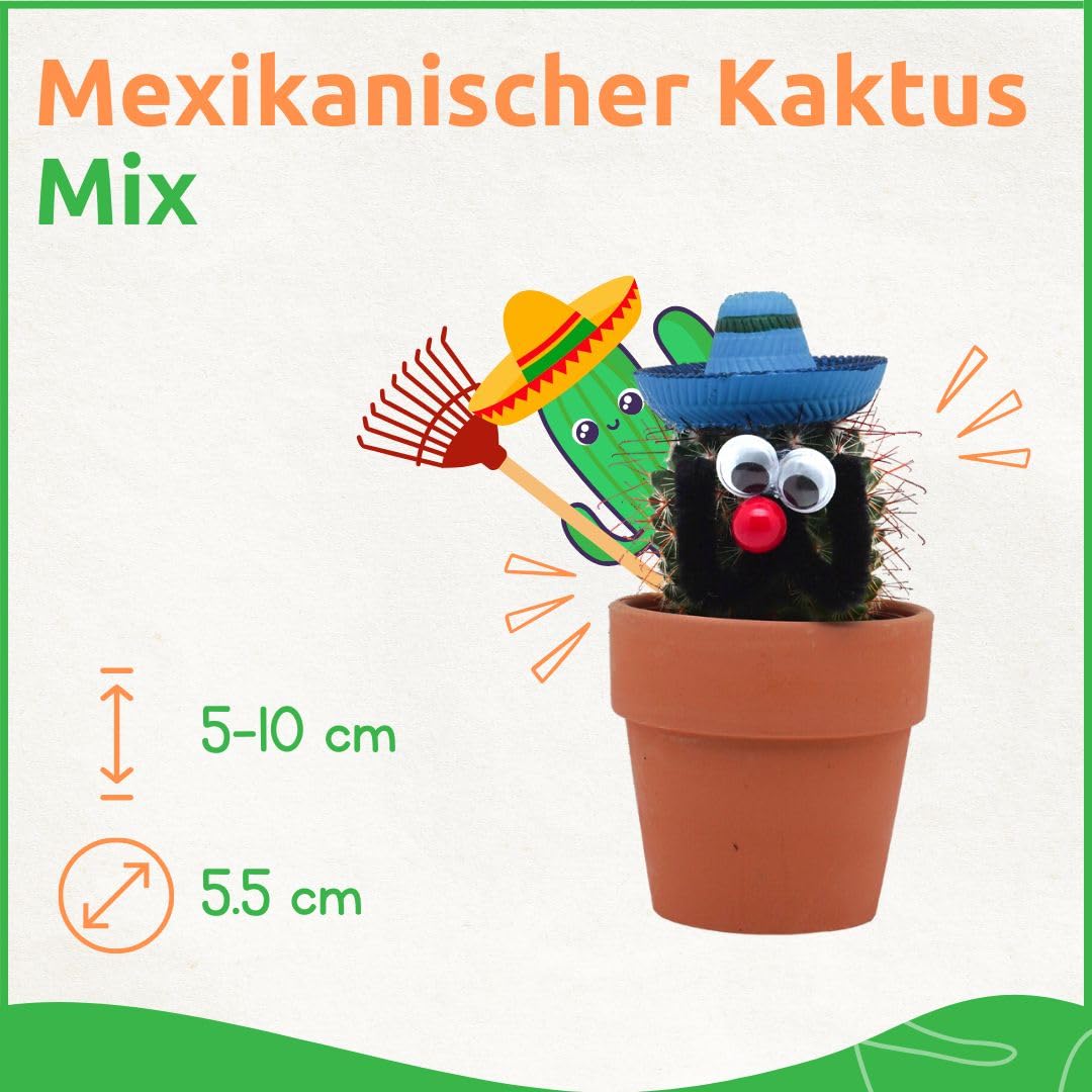 10 Stück Mexikanische Kakteen mit Sombrero im Ø 7 cm Terrakotta Blumentopf - Ideale Kaktus Deko für Zuhause, Büro, Restaurants, Hotels - Höhe 8-15 cm