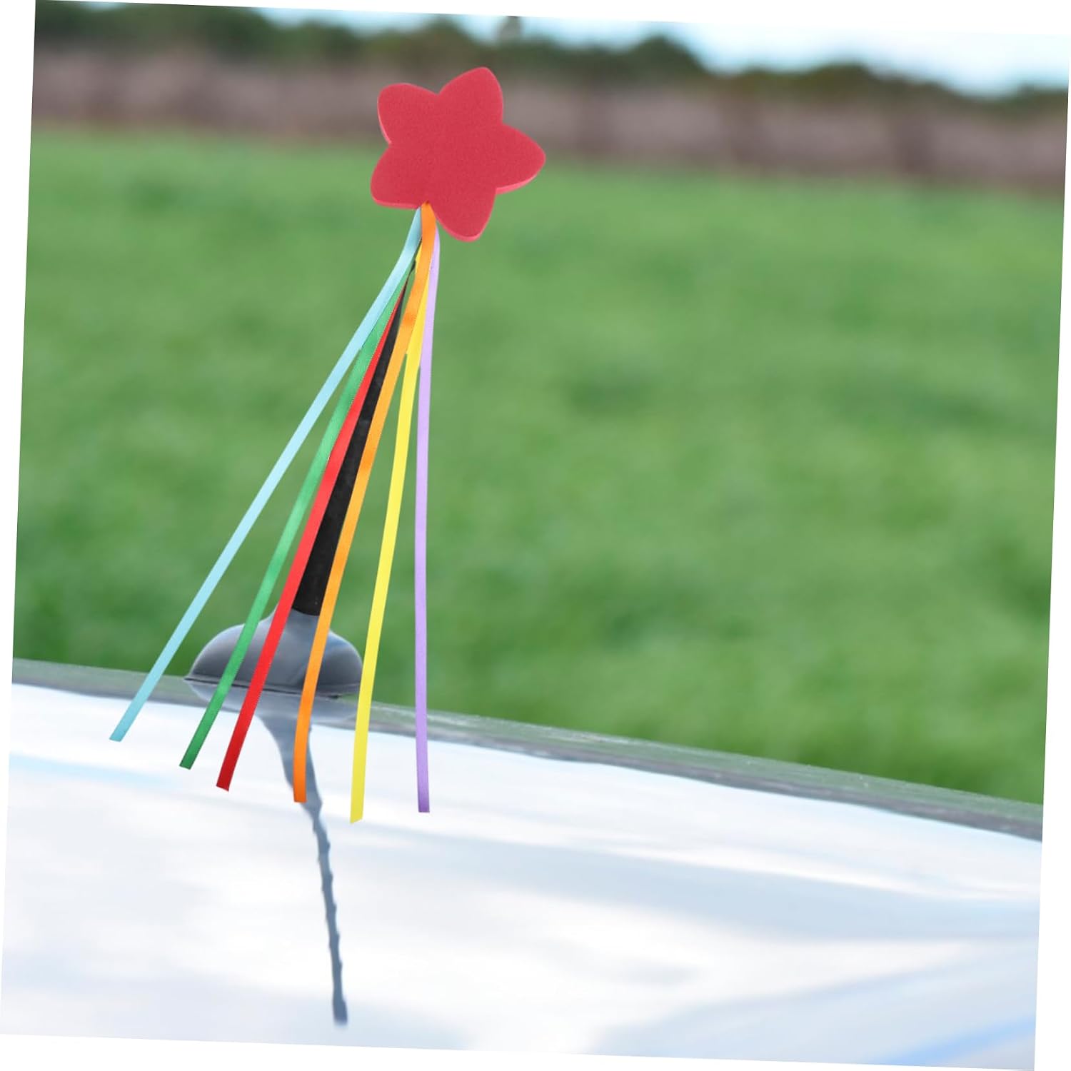 Ciieeo 2Pcs Car Antenna Toppers Weather Resistant Decorative Ornaments for Vehicle Roof Enhance Signal Reception Easy Attachment for Daily Use and Outdoor Travel