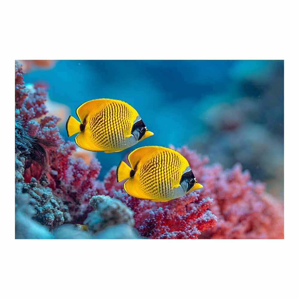 HUYEEI Blue marine animals Landscapes Paintings Fish Accompanying Reef Seascape Poster Nature Print for Livings Room Hang Bedroom Bathroom Decor(blue)-70x100cm Unframed
