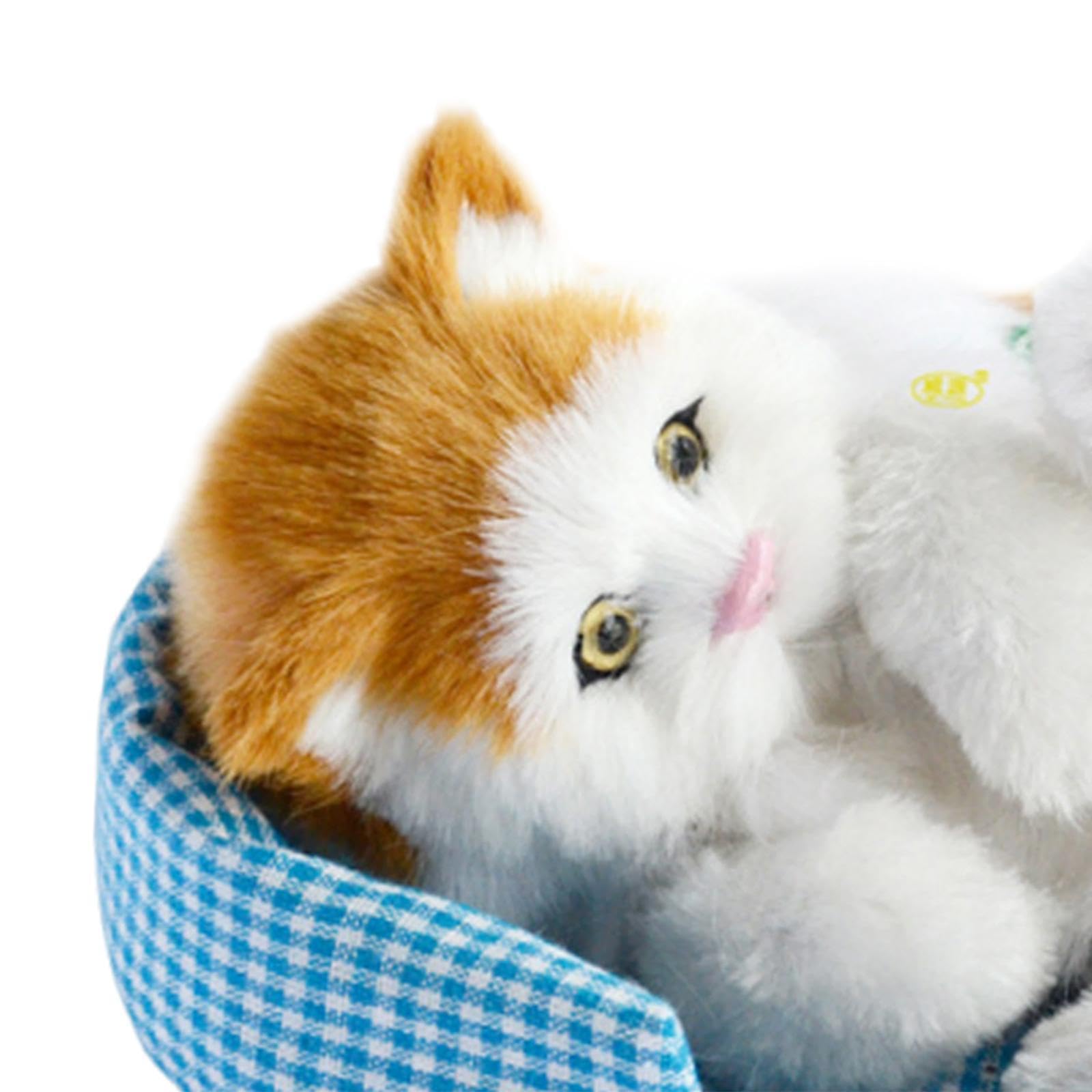 Simulazione Bellissimo Gatto Che Gatti Giocattolo Gatti Che Dormono su Tappetino Regalo Mini Versatile in Tappetino per Animali Decorazi, Testa Orange Cat