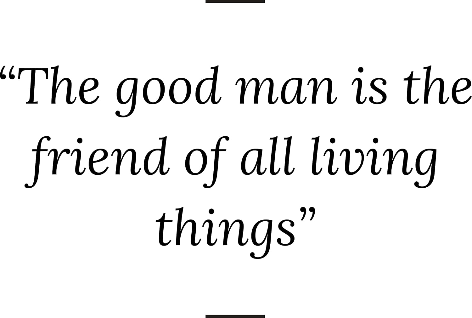 Infusion The Good Man is The Friend to All Living Things Rubber Stamp, 5 X 6'' Wood Stamp