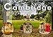 Produktbild Cambridge street view (Wandkalender 2022 DIN A2 quer)