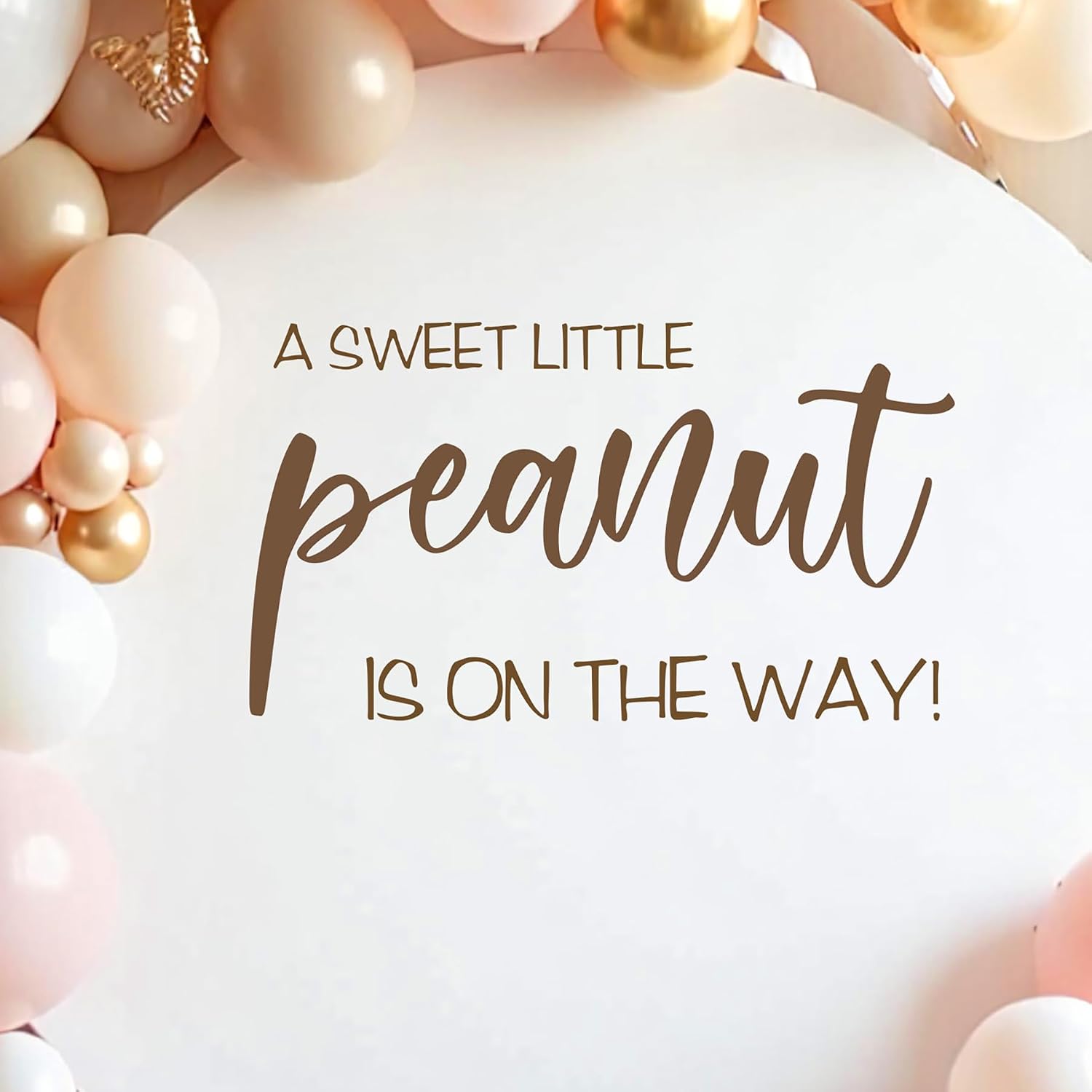 A Little Peanut is On The Way Baby Shower Decorations - A Sweet Little Peanut Decal Sign, First Birthday Decorations for Girl, One Year Old Gender Reveal Sign, 1st Party Supplies for Girls Boy