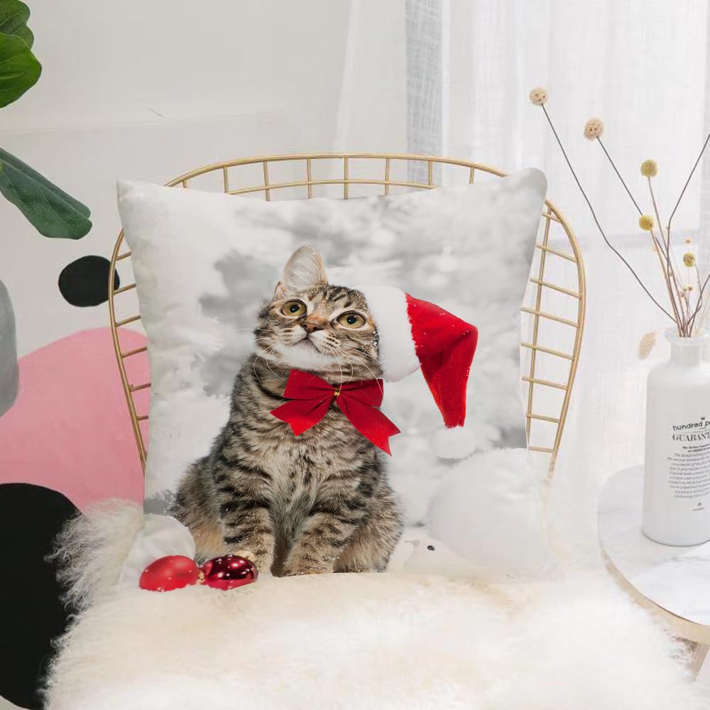 HYMSXW Cushion Cover,Throw Pillow Case Home Decorative for Living Room Bedroom Sofa Chair 20X20 Inch,Christmas background with striped kitten with santa hat and red bow,Pillowcase 50X50cm